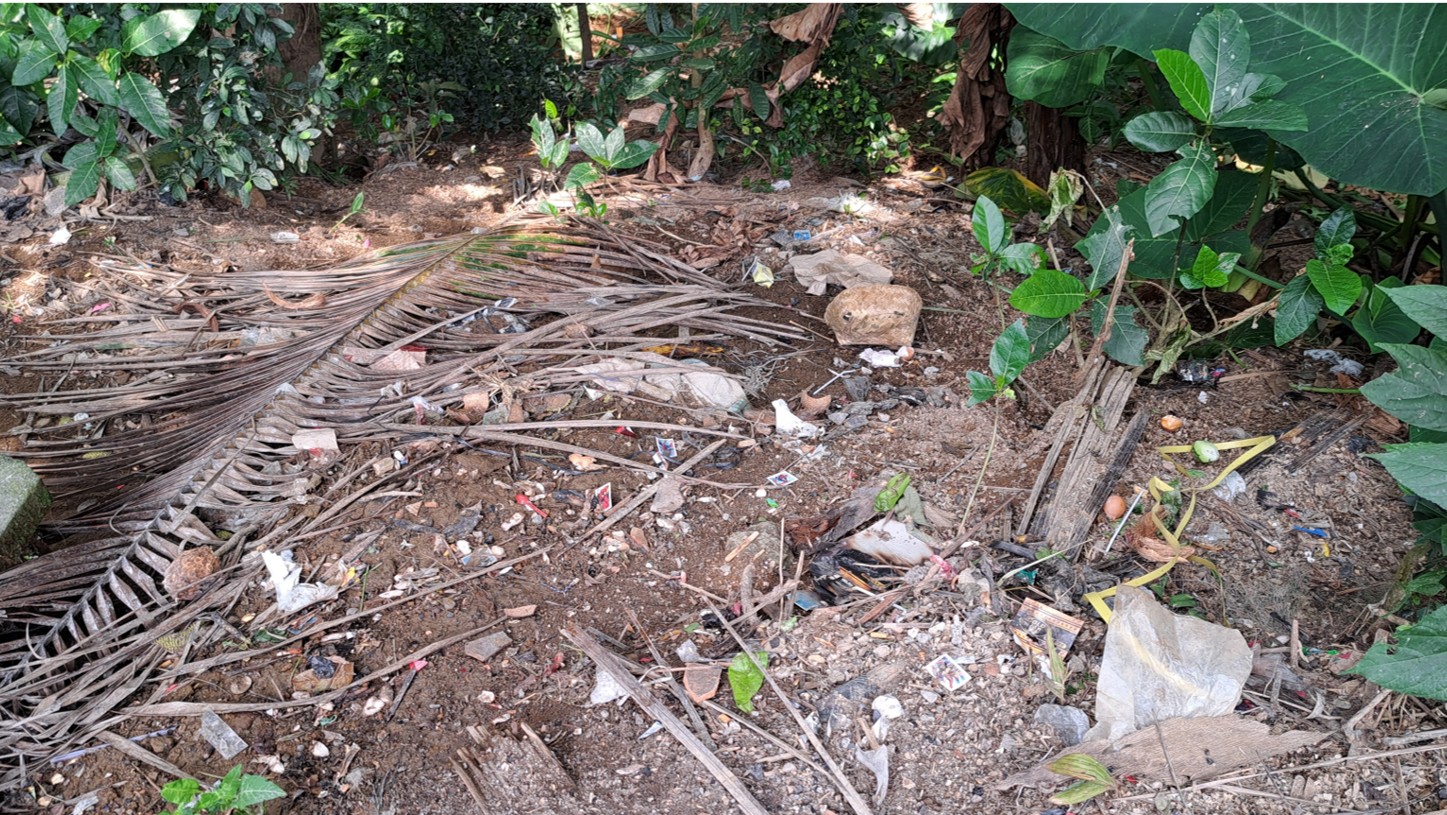 Agriculture and Plastic Pollution