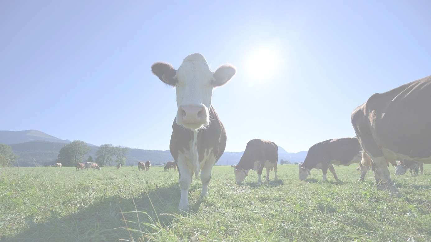 Climate and organic farming – an introduction