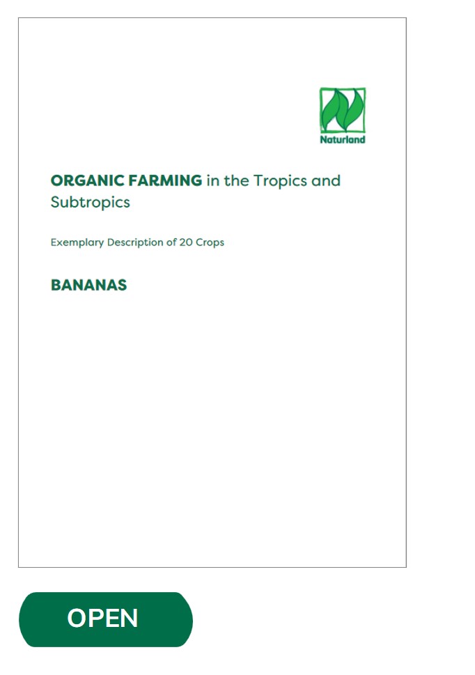 PDFBanana Cultivation Guide on organic Banana production Naturland Academy