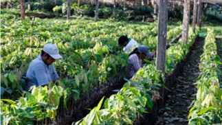 Naturland Briefing Paper: The impact of climate change and heat on the world of work