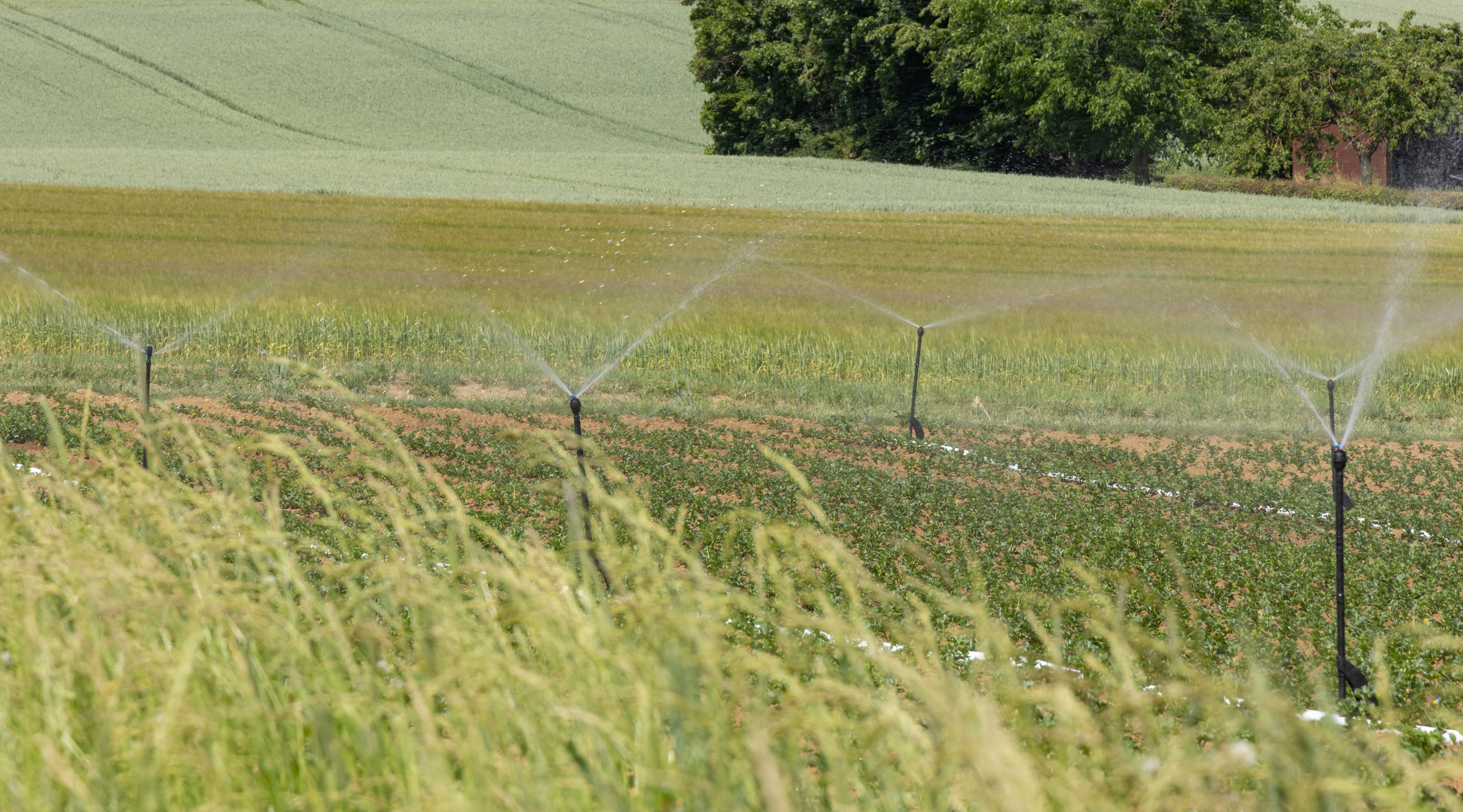 Sustainable Water Management