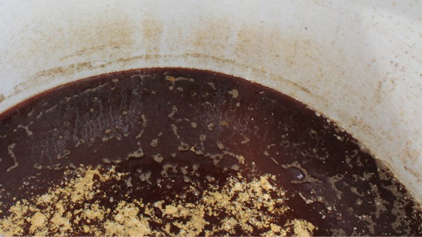 Biol – a liquid, organic fertiliser