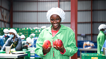 Safe Work for Women: A gender perspective on occupational health and safety in agricultural value chains