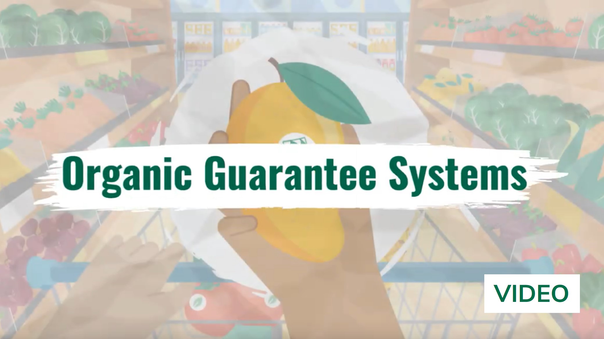 home-naturland-academy