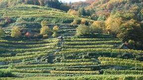 Soil Fertility Management